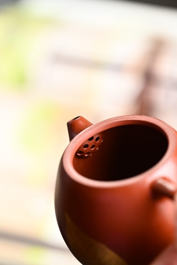 Longdan | Wrinkled Zhuni Clay | 龙蛋 | 250ml