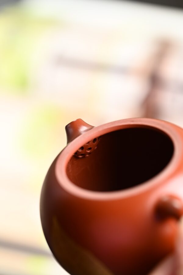 Xishi | Wrinkled Zhuni Clay | 西施 | 230ml