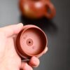 Xishi | Wrinkled Zhuni Clay | 西施 | 230ml