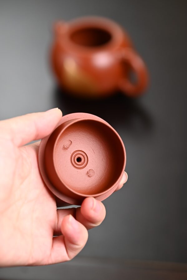 Xishi | Wrinkled Zhuni Clay | 西施 | 230ml