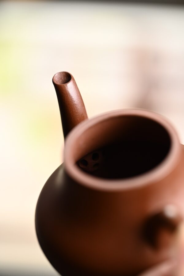 wsxc1770929170877_6 Siting | Micro-carved Pipa Xing | Old Zini Clay | 思婷 | 150ml