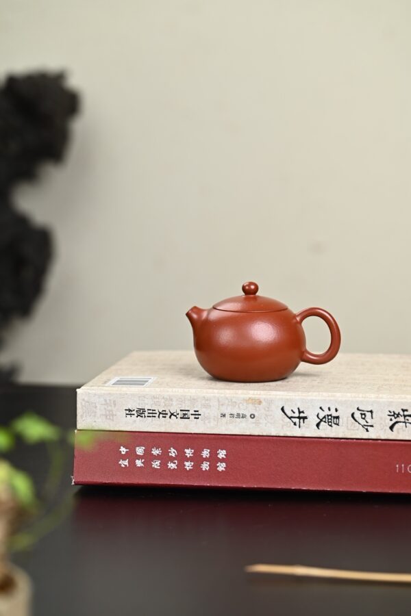 wsxc1771354977170_1 小西施丨皱皮朱泥丨150ml丨9孔出水丨孙建芳丨售罄