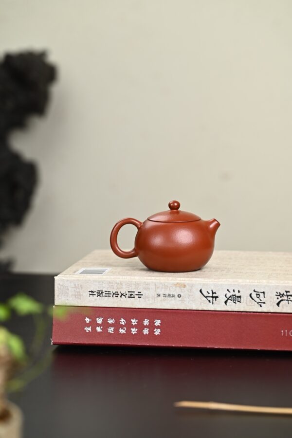 wsxc1771354977170_2 小西施丨皱皮朱泥丨150ml丨9孔出水丨孙建芳丨售罄
