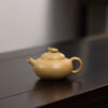 Exquisite Teapot丨Han Zhu丨Li Pi Ben Lv Clay丨憨竹丨110ml