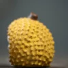 Yixing Zisha Tea Pet｜ Durian Hedgehog｜Premium Cultivable Cute Creative Ceramic Ornament｜榴莲刺猬
