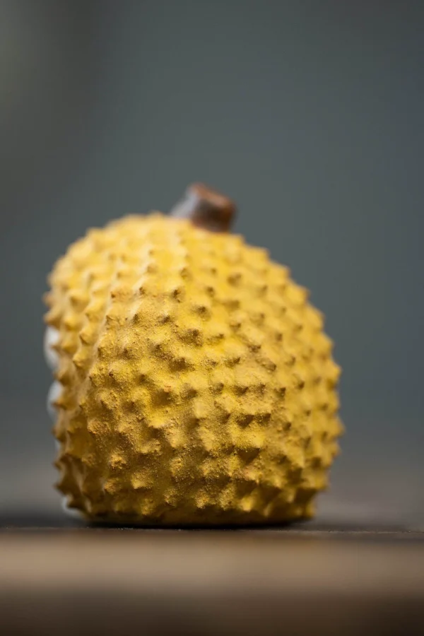 Yixing Zisha Tea Pet｜ Durian Hedgehog｜Premium Cultivable Cute Creative Ceramic Ornament｜榴莲刺猬