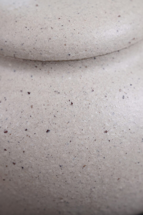 wsxc1791736610571_3 Original Work | Eggplant Shaped Teapot | October Hibiscus | White Jade Duan Clay | 100ml | 十月芙蓉