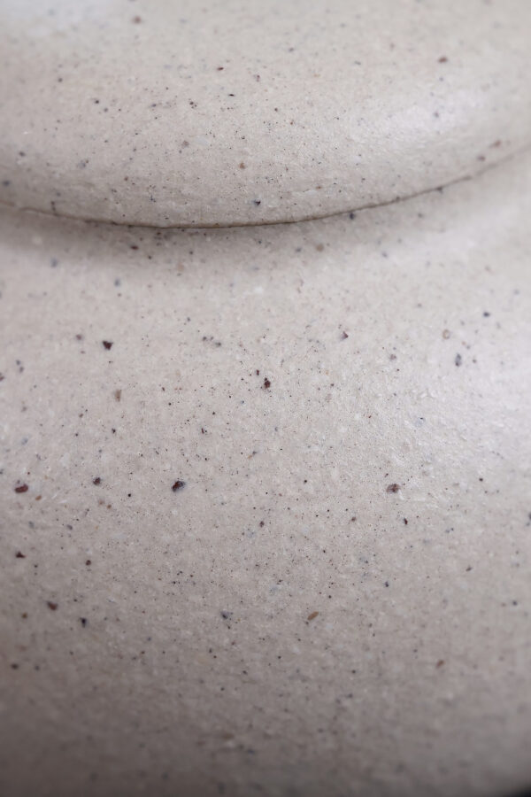 Original Yixing Zisha Teapot | Eggplant Shape | December Narcissus | White Jade Duan Ni | 100ml | 茄瓜