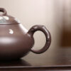 wsxc1791834331268_5 Yixing Zisha Teapot | Spring Breeze Touching Face | Dashuitan Tianqing Clay | 170ml | 春拂面